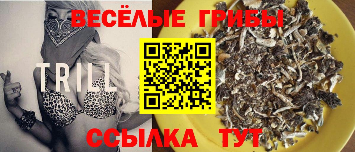 Галлюциногенные грибы Psilocybe  Вход с VPN  Ногинск  Галлюциногенные грибы Psilocybe 