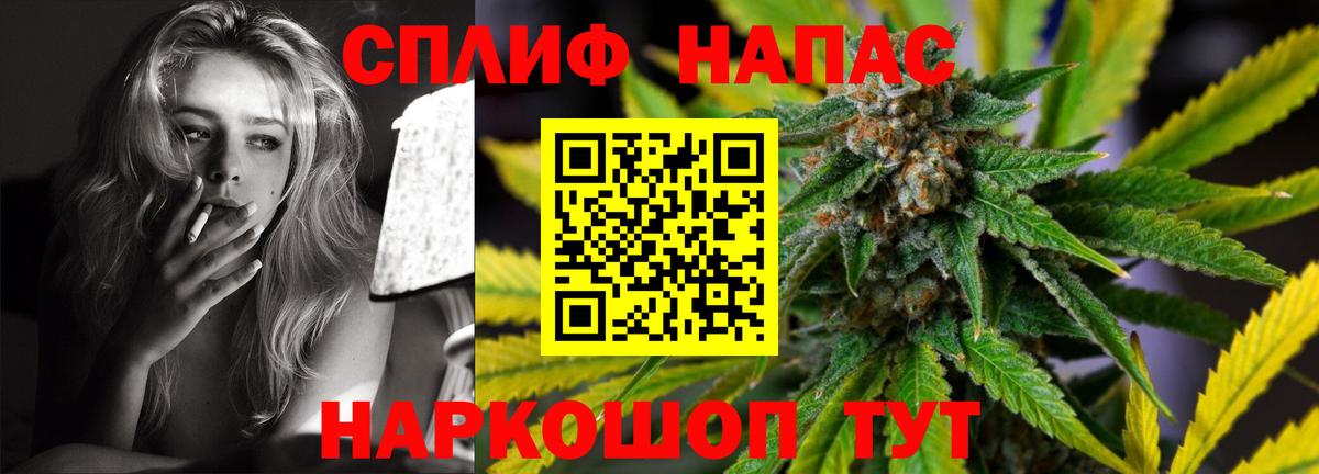 Бошки Шишки планчик  Вход с VPN  Бошки марихуана сатива  Ногинск  Шишки марихуана семена  Конопля конопля 